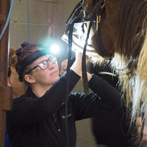 Dr. Clare O'Connor, Poulsbo Equine Veterinarian