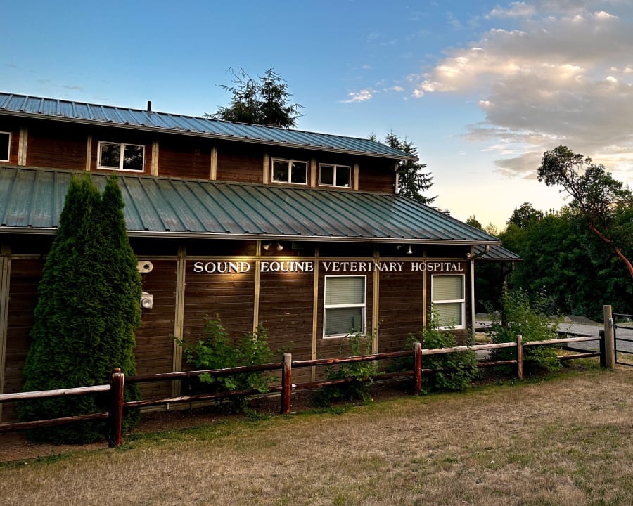 Hospitalisation For Sick Horses, Poulsbo Vet