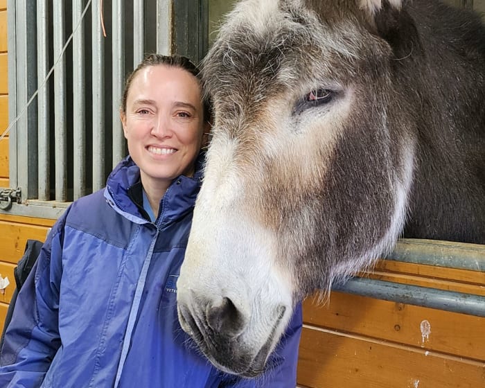 Advanced Equine Diagnostics, Sound Equine Veterinary Hospital in Poulsbo