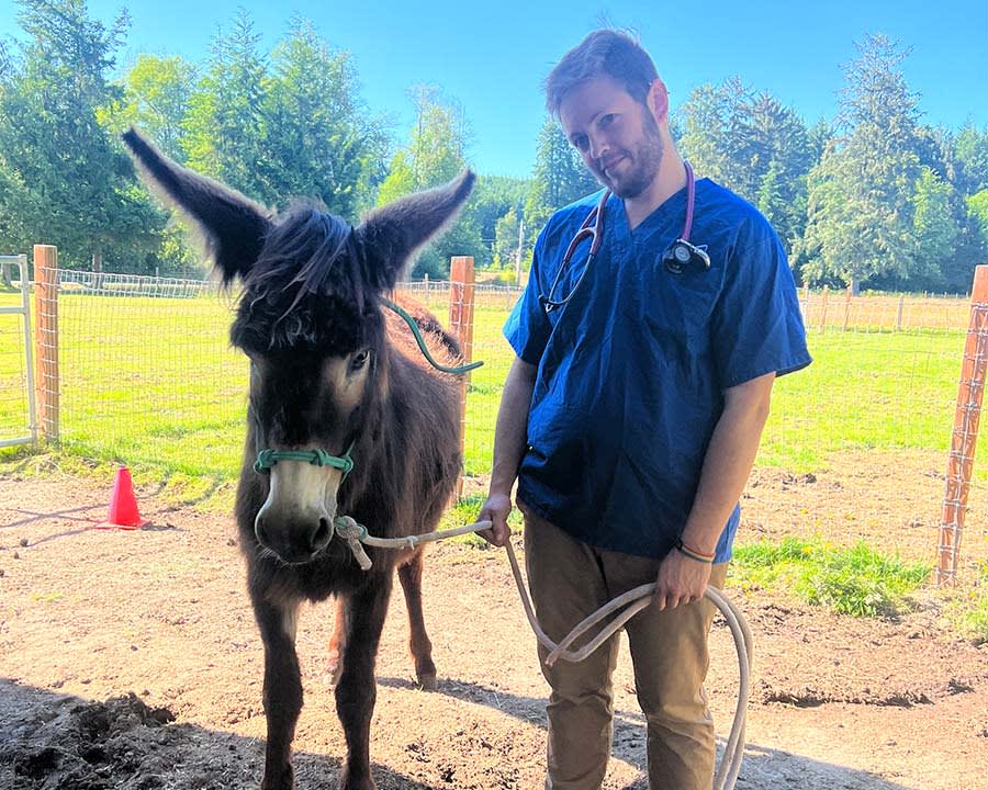 Internal Medicine, Poulsbo Vet