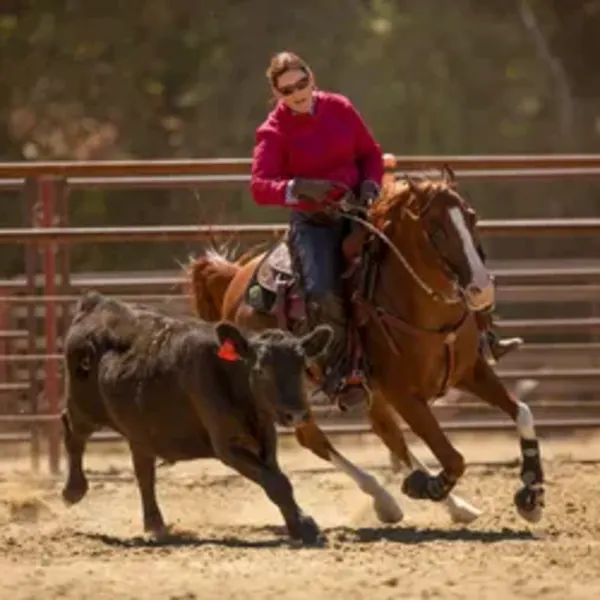 Marissa Shubin | Hospital Manger | Sound Equine Veterinary Hospital